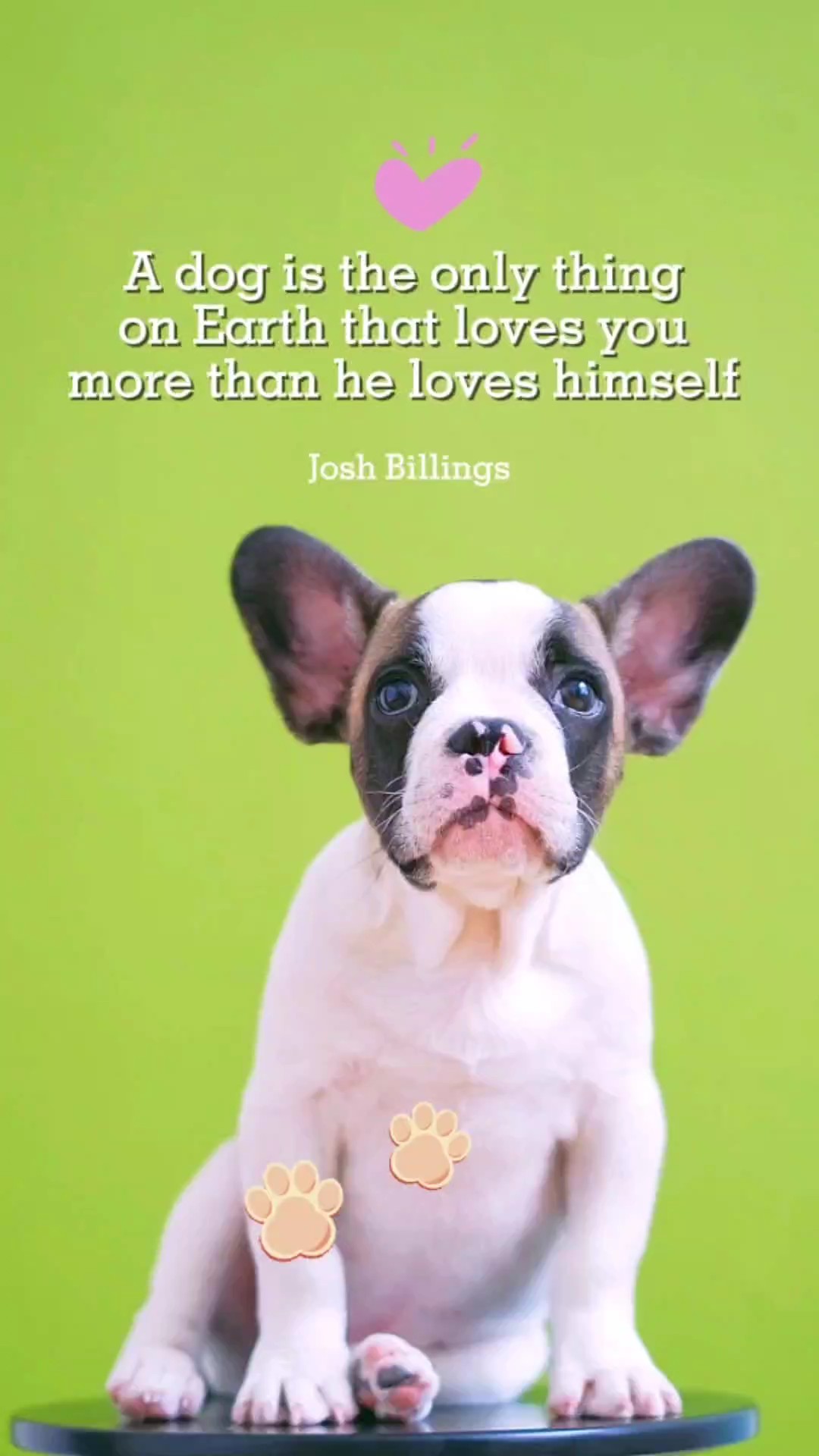 Dog Love 