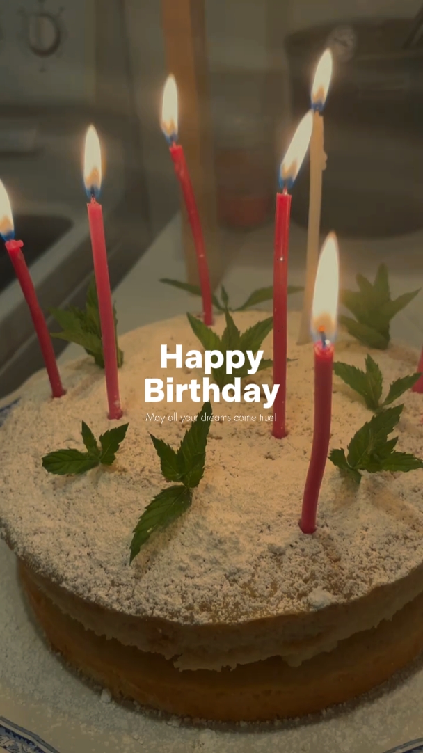birthday vlog