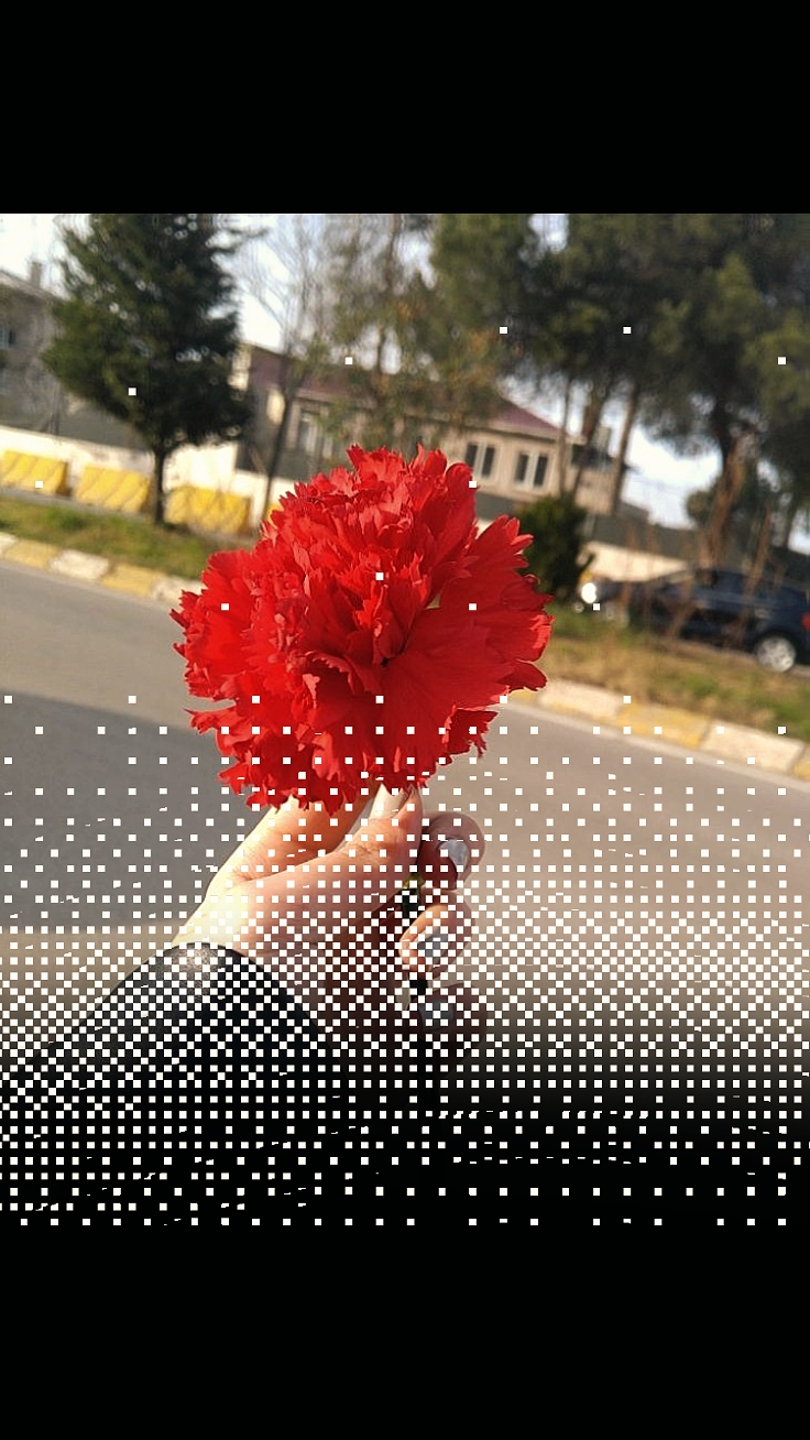 Video de voz 