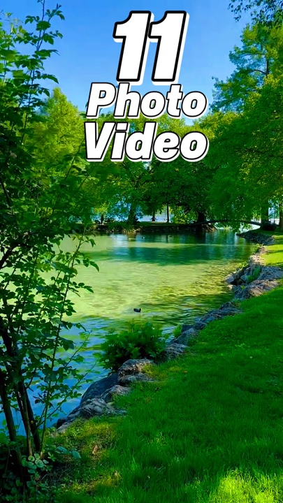 11 clip ou photo 