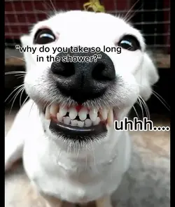 uhmmm... 