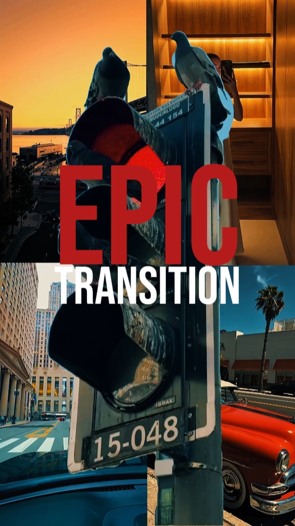 TRANSICIÓN ÉPICA