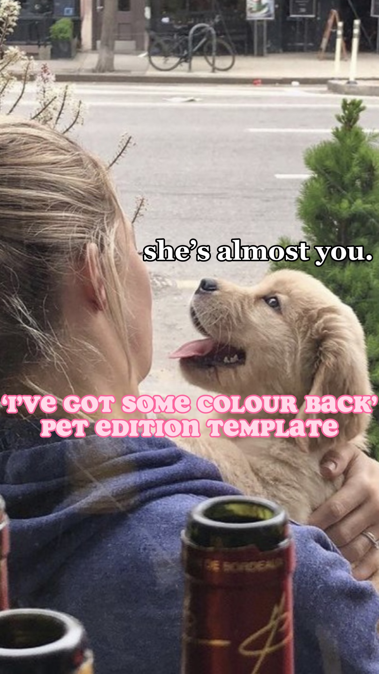 Meine Farbe zurück 🩷