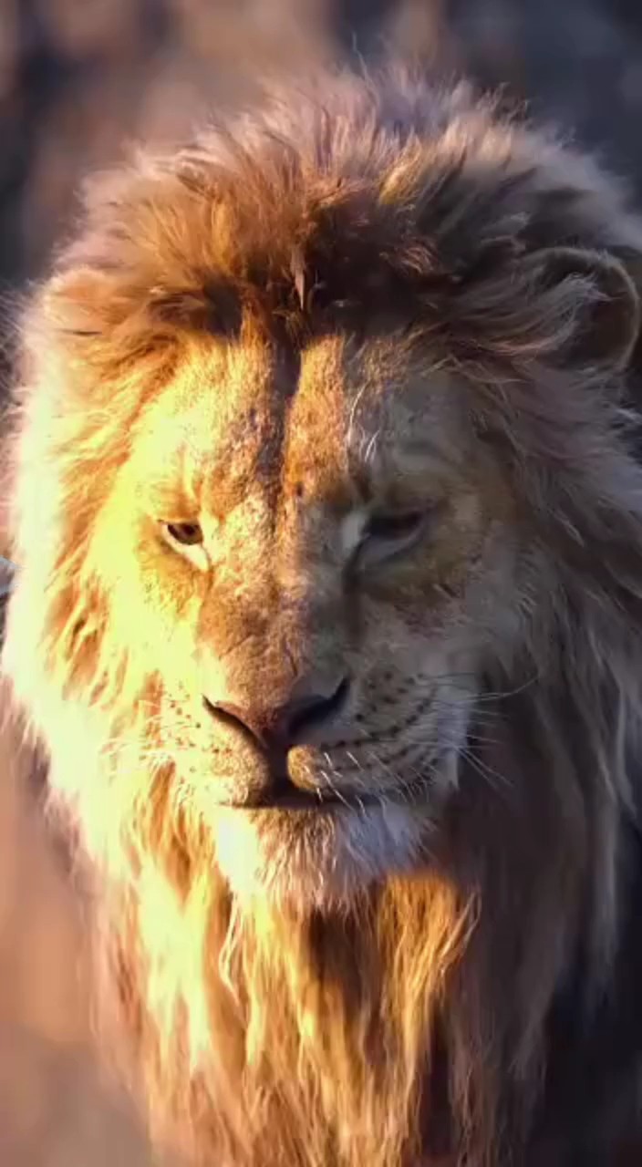 pesona leo