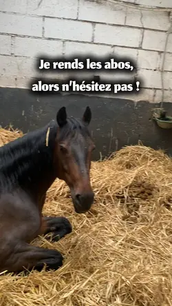 Je rends les abos 🤩🥰