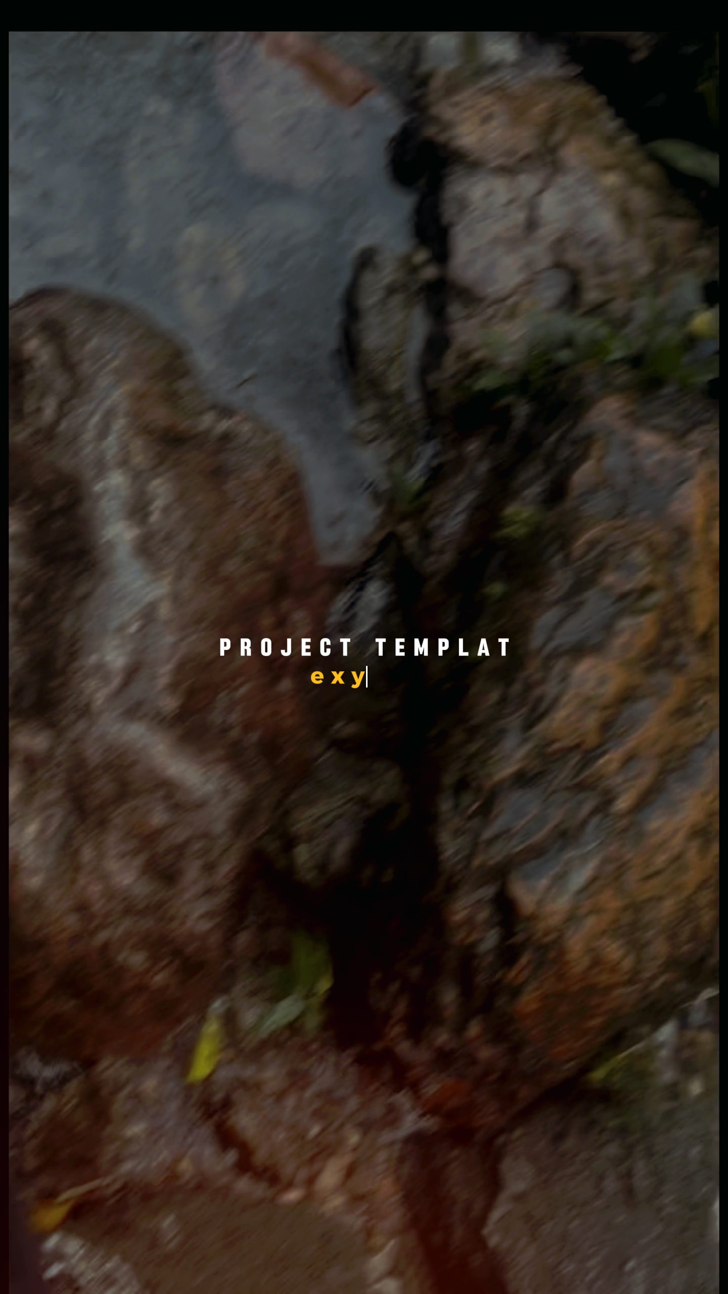 Proyecto 