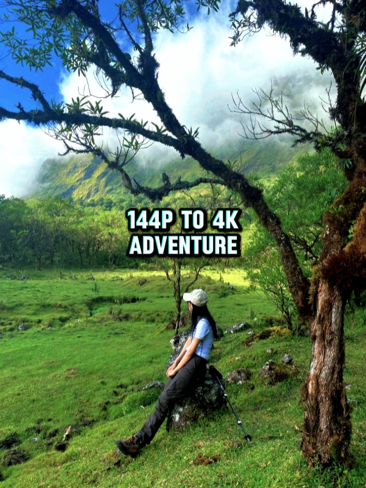 144p bis 4k Abenteuer