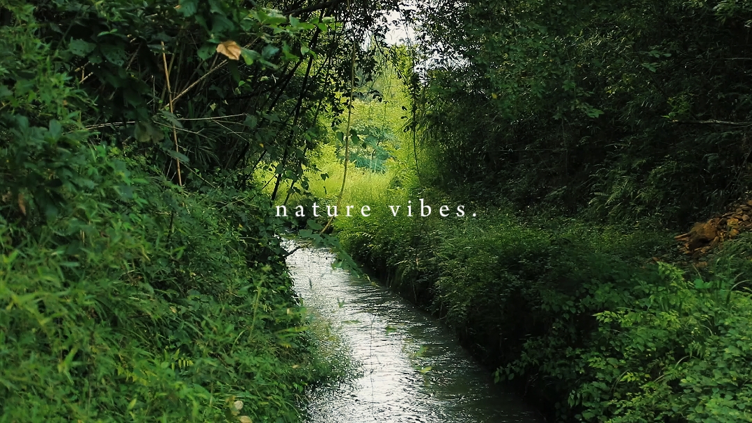 Natur Vibes 