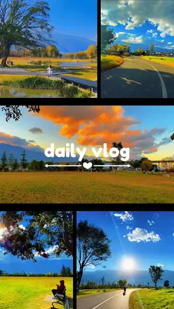 Daily Vlog