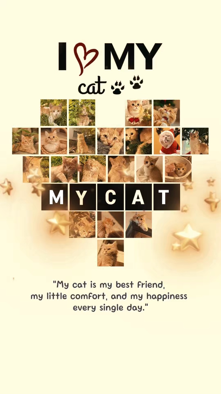 My Cat cute 