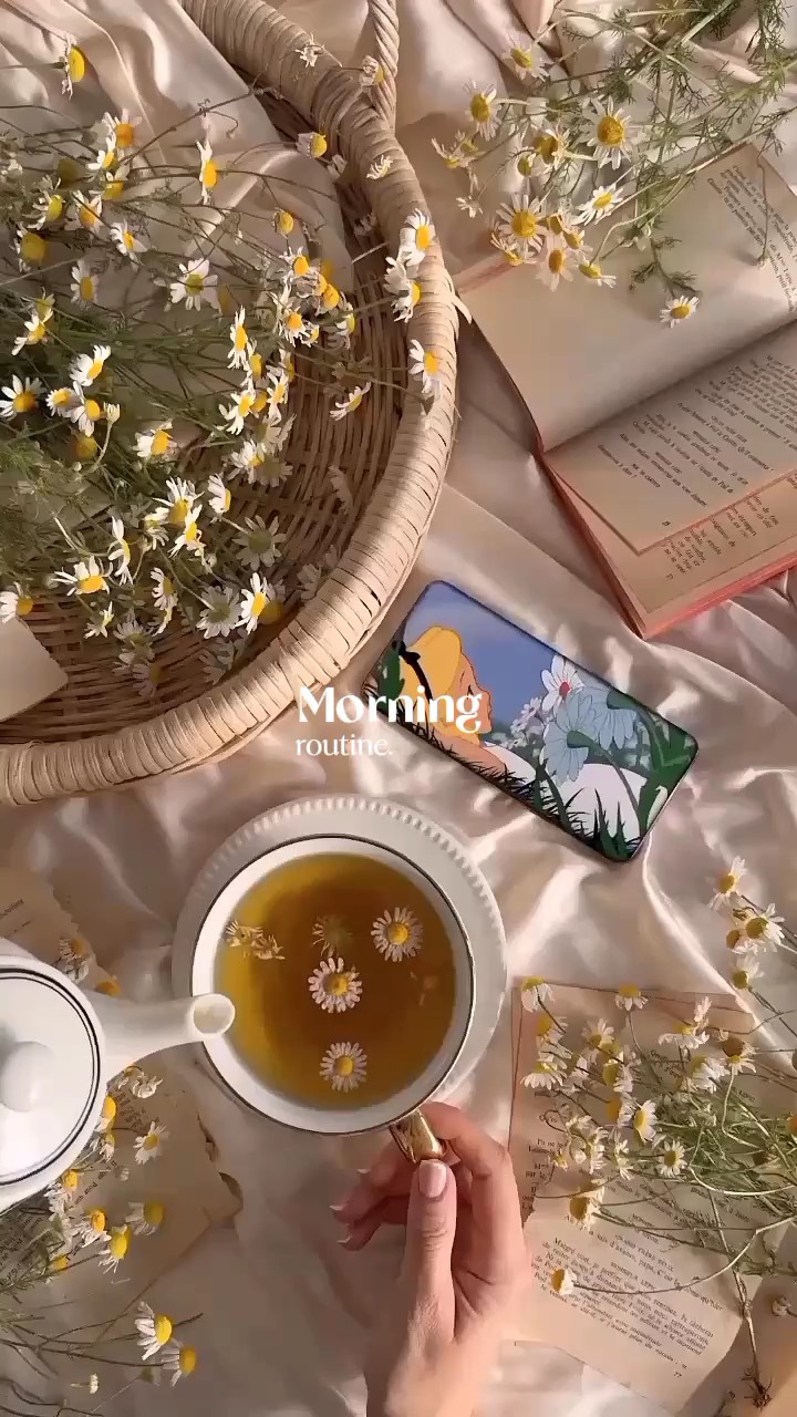 Rotina matinal