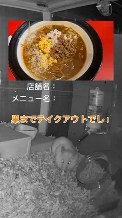 推しラーメンを日向葵ちゃんがすするぅ！