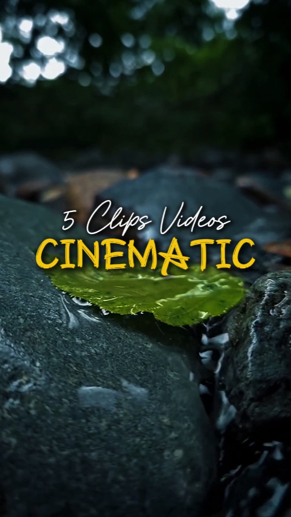 CINEMATIC 5 VIDEOS
