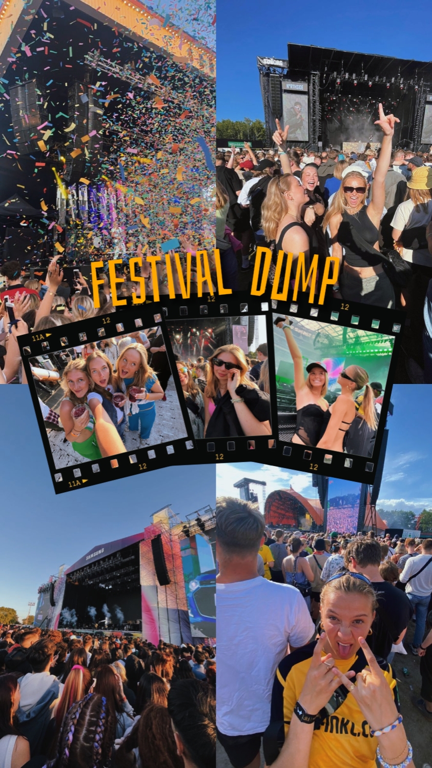 festival dökümü