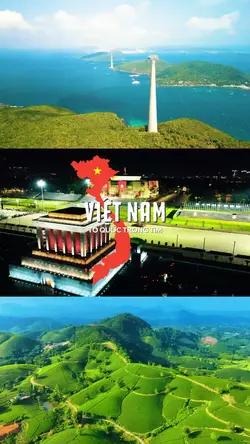 Made in Vietnam 🌿🚘