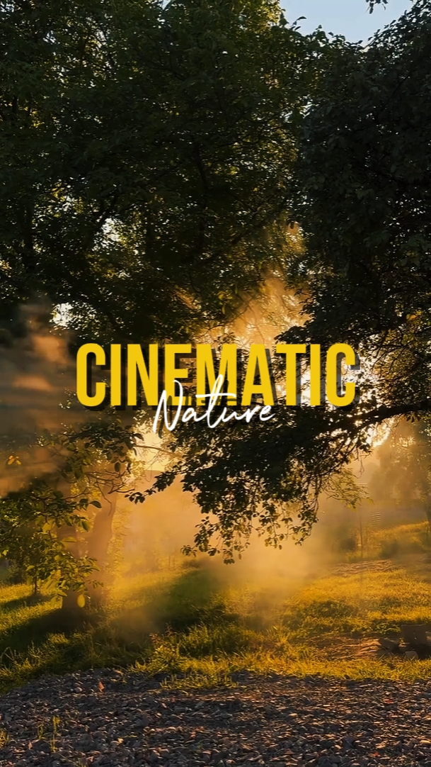 CINEMATIC NATURE