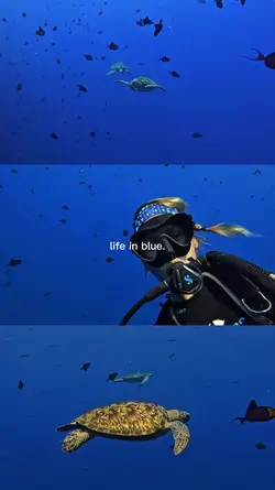 Life in blue