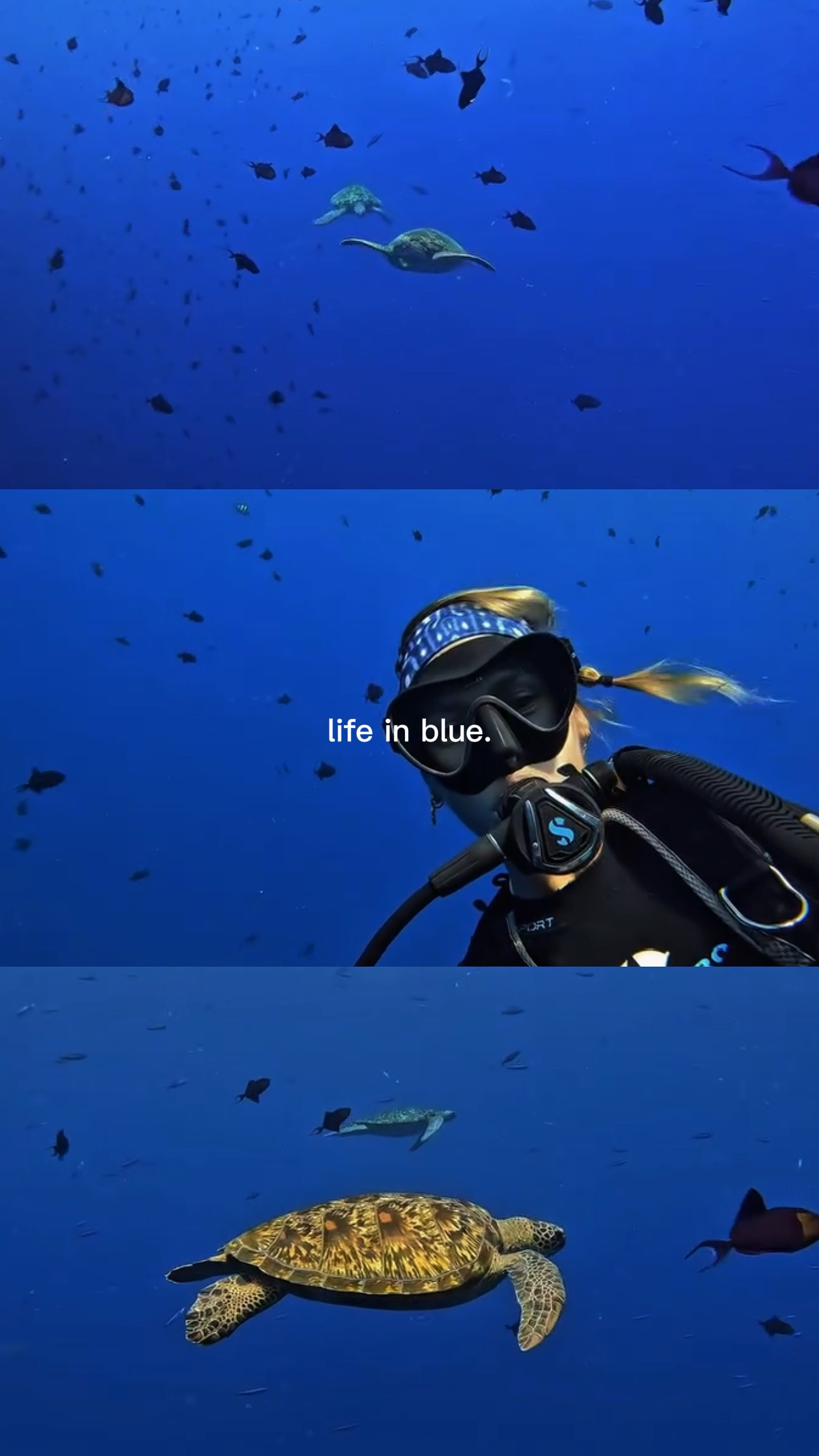 Hidup dengan warna biru