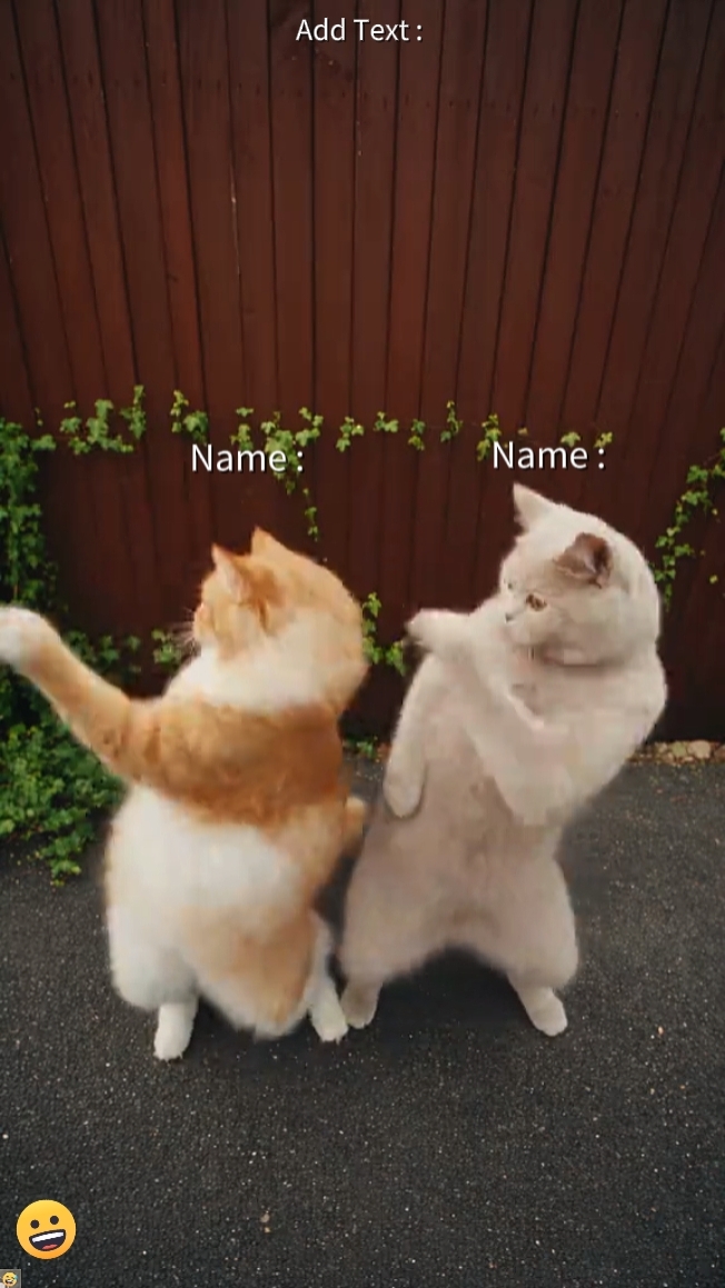 Tendência de dança do gato 