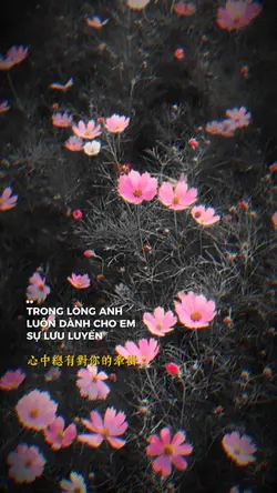 Nhạc Trung nhẹ nhàng