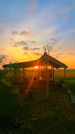 Sunrise Estetik