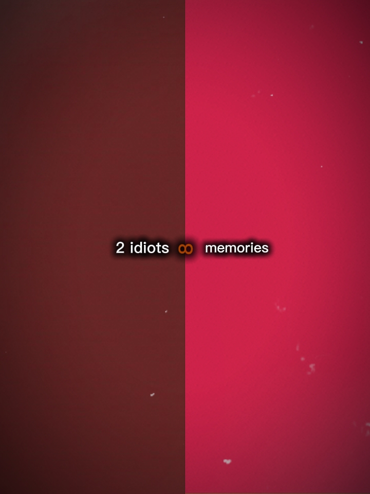 2 idiots