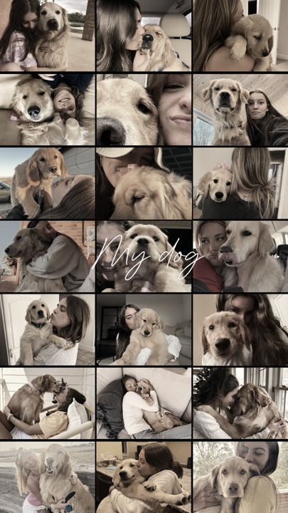 My dog