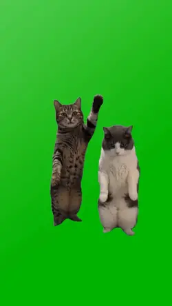 STRANGER DANCE MEME