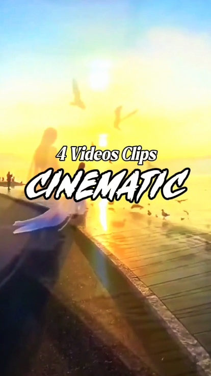 4 Videos Clips