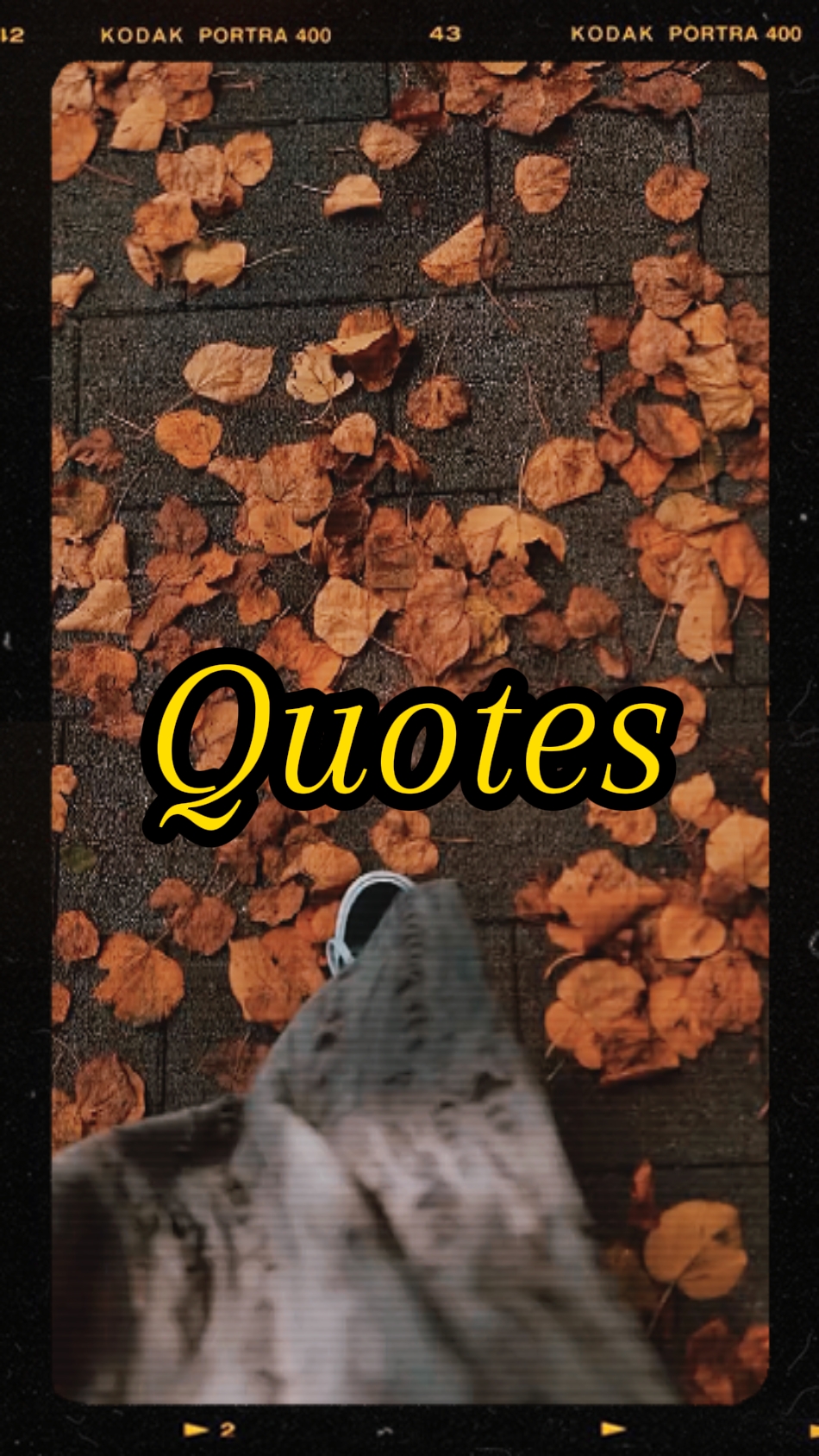 Quotes 