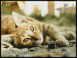 vlog retro film