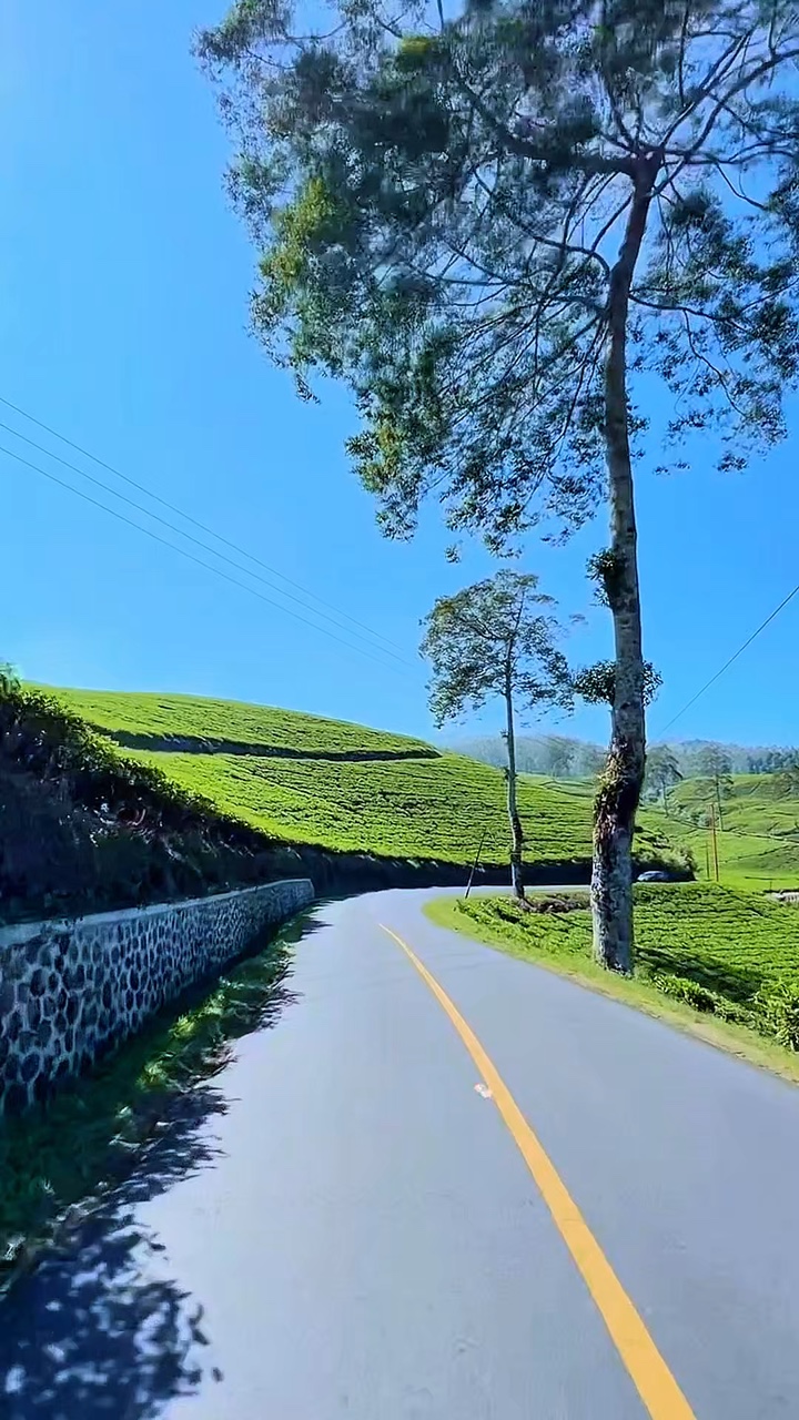 road trip 