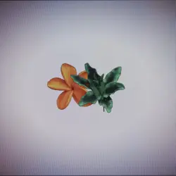 Bakudeku 🥹