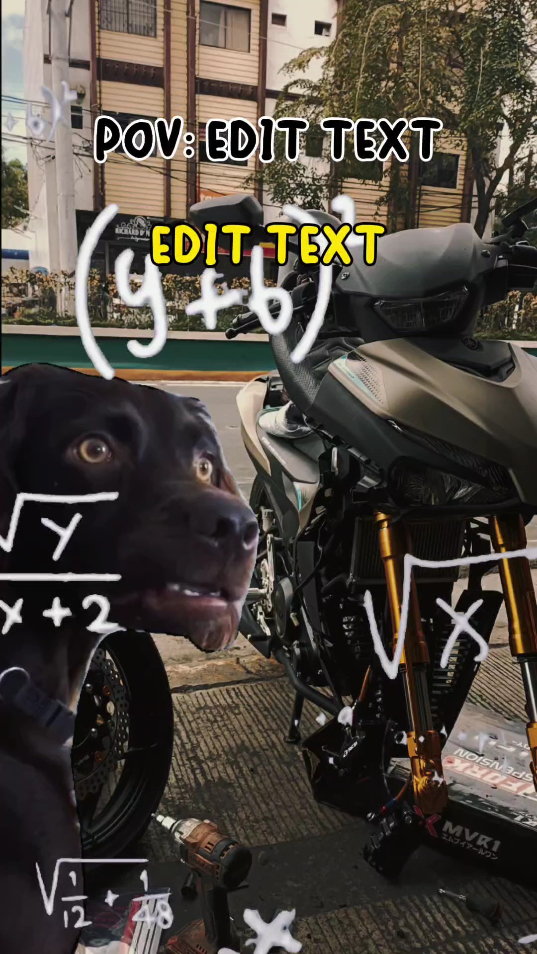  Matemática do cão confuso