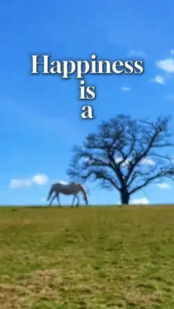 #Horse happiness 