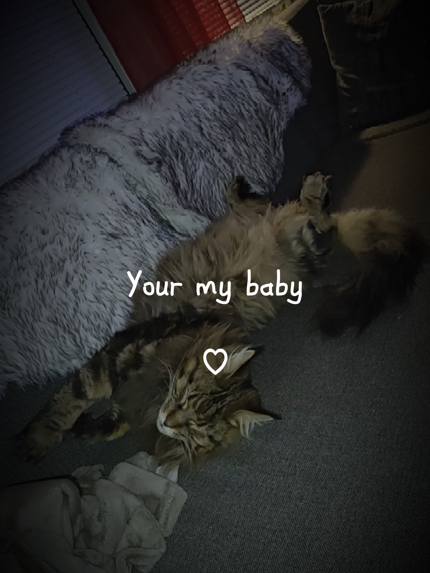 Mi bebé 