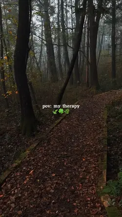 Pov