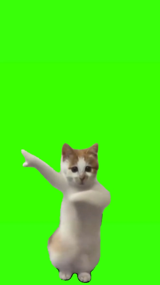 고양이 춤추는 밈