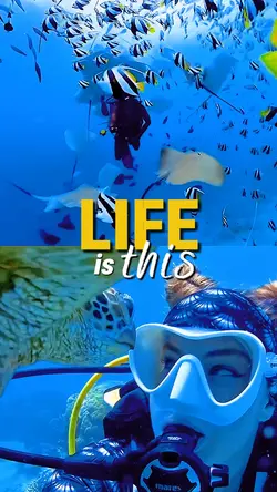 diving