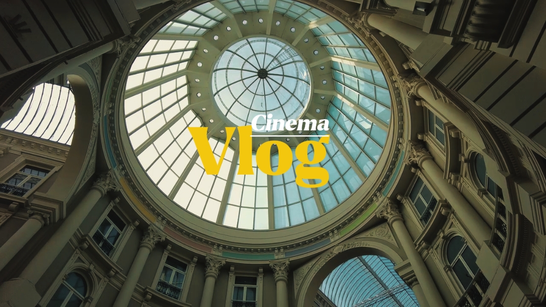 Vlog sineması 