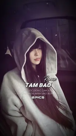 Tâm Bão Remix