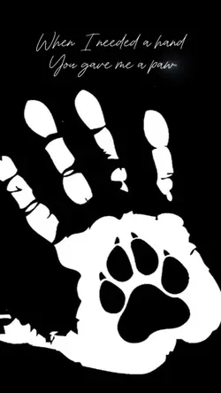 Needed a paw 🐾 