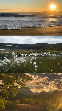 Golden memories