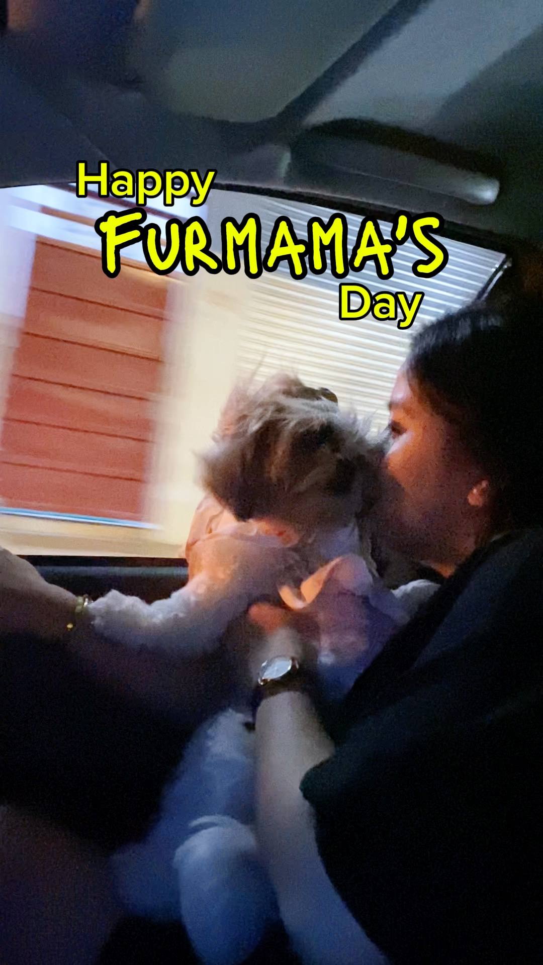 Feliz dia do Furmom