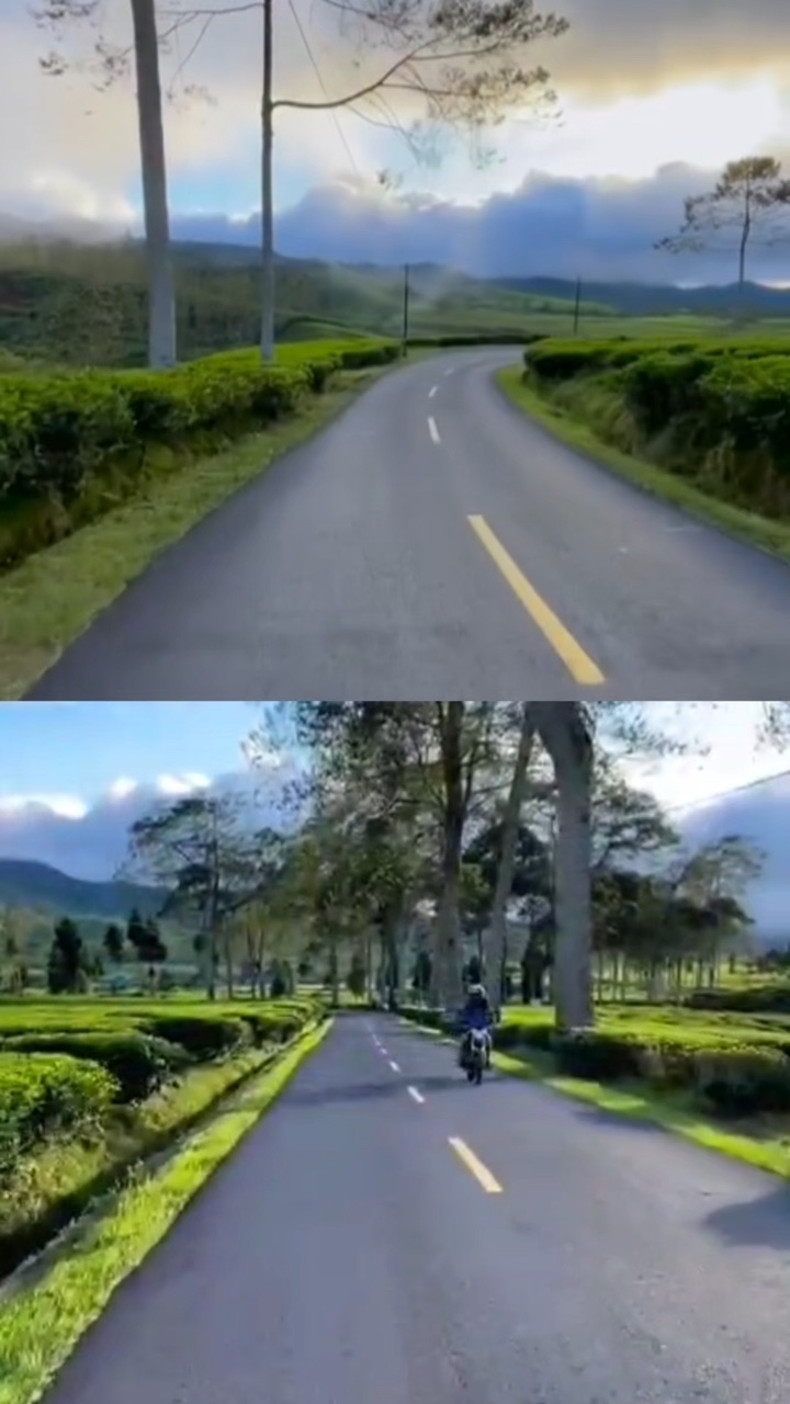 2 vidéo 1 image