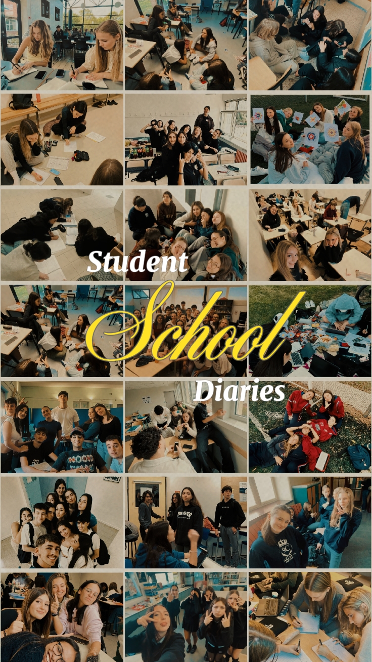 Diarios Escolares 