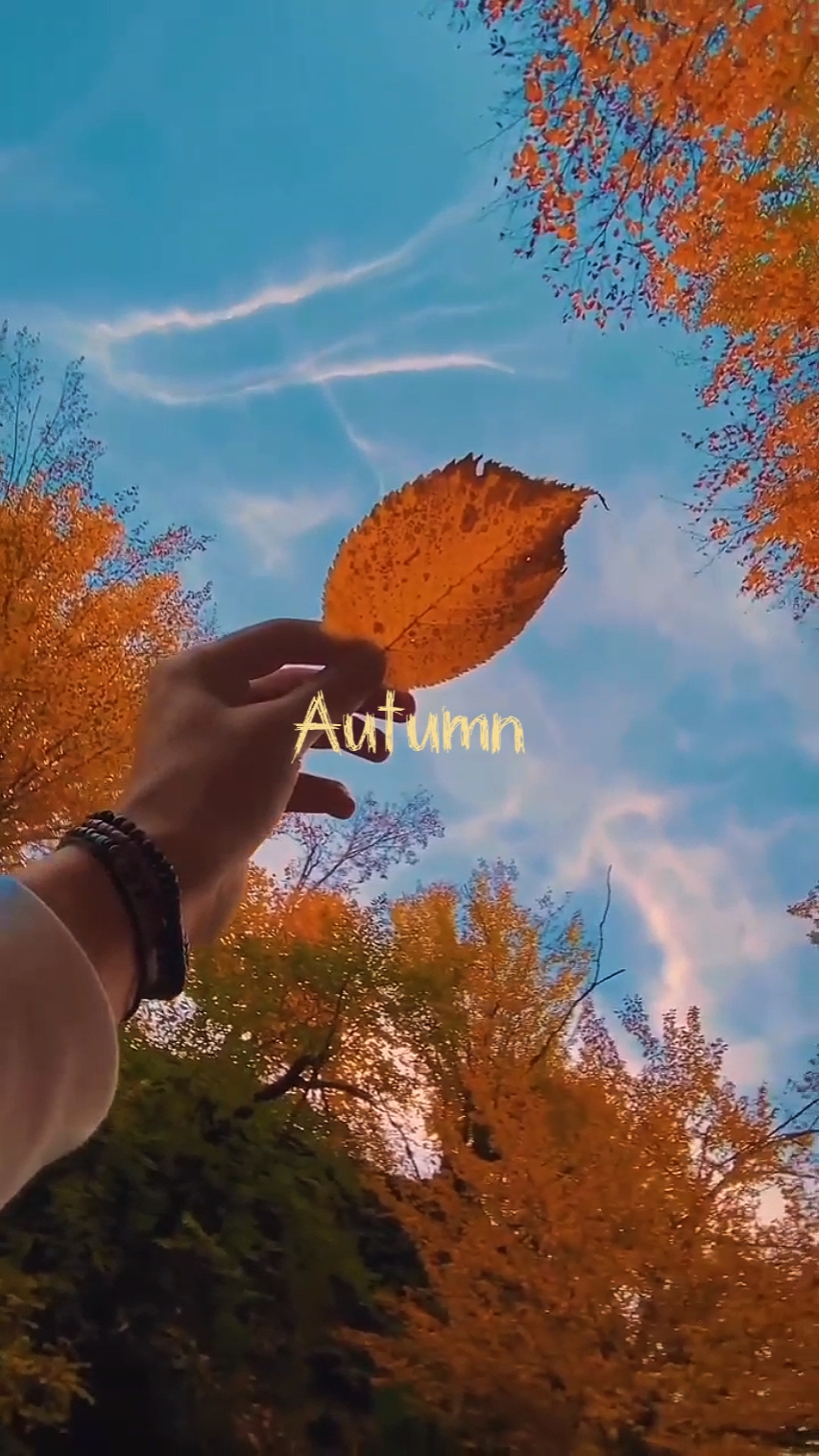 sweet autumn