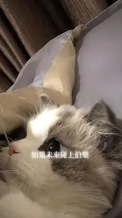 2張丨如果我們在餘生相遇