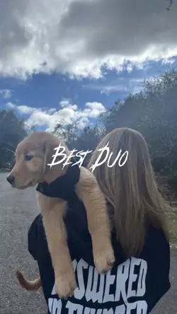 Best Duo