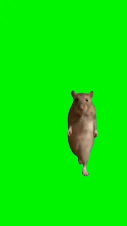 Ratoncito